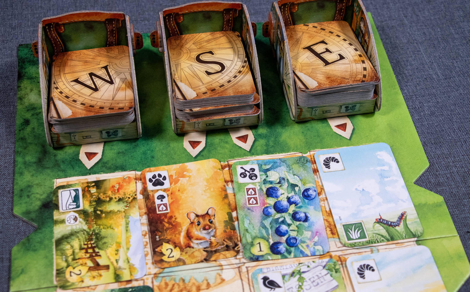 Review: Meadow - nature, fresh air and a board game