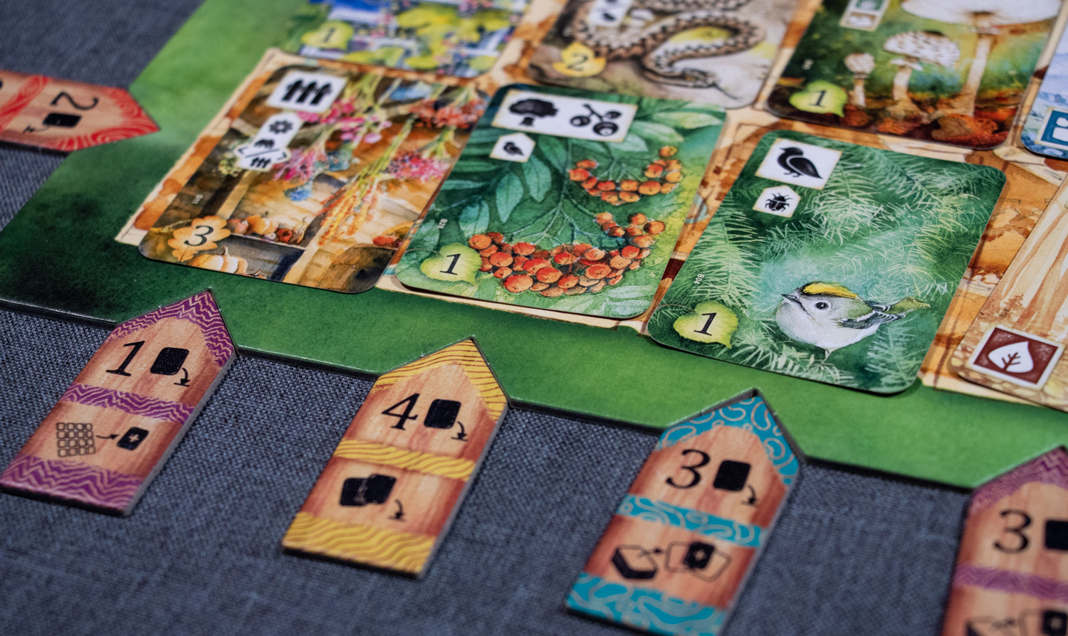 Review: Meadow - nature, fresh air and a board game