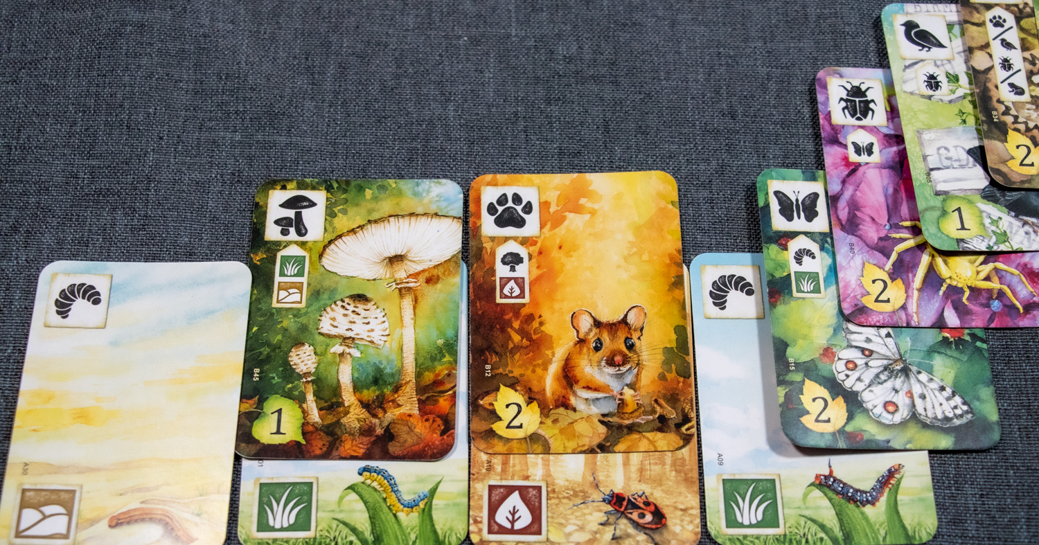 Review: Meadow - nature, fresh air and a board game