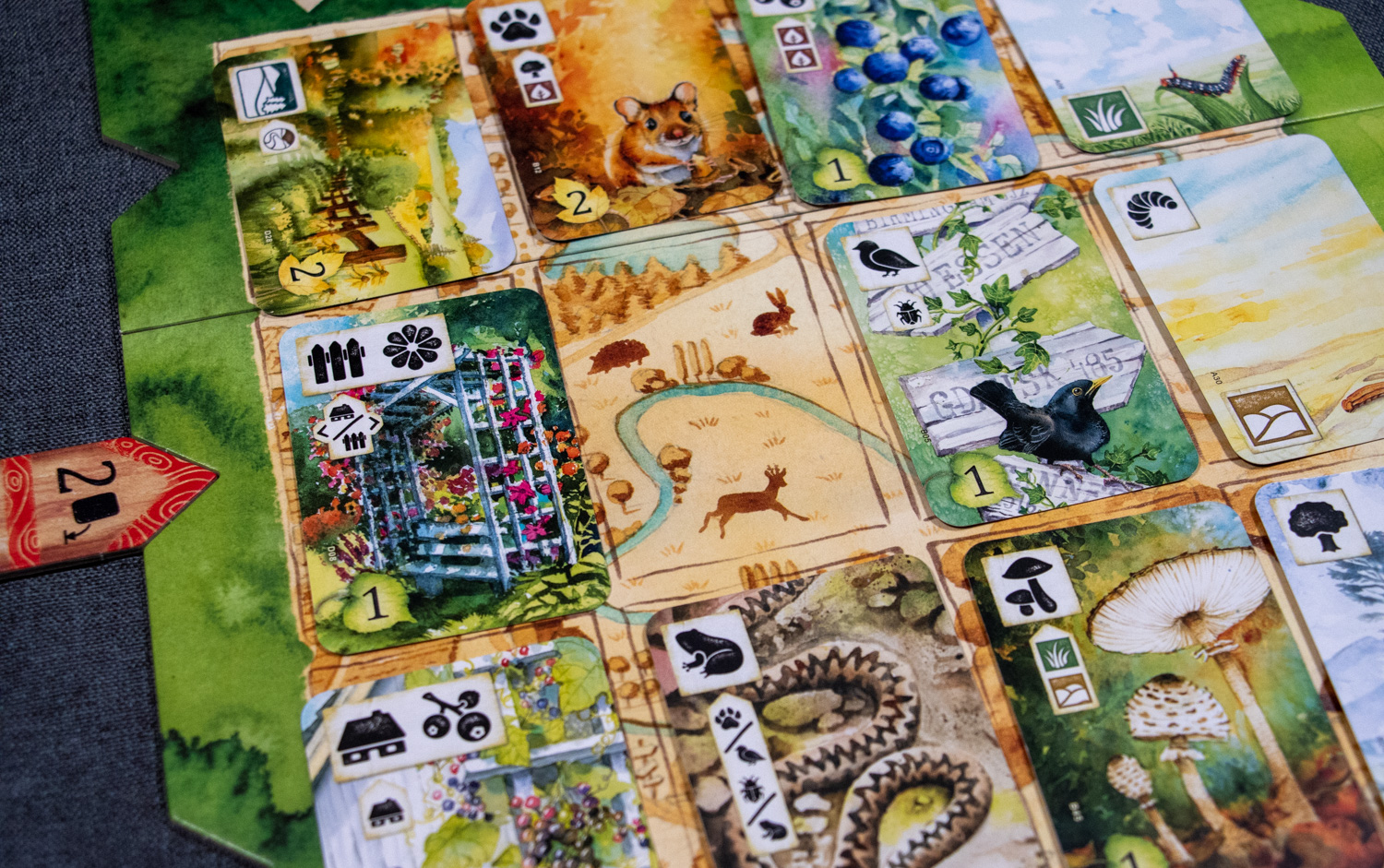 Review: Meadow - nature, fresh air and a board game