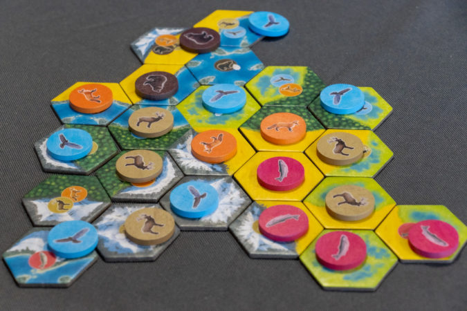 Cascadia Brettspiel Landschaft