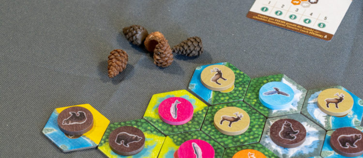 Cascadia Board Game Pine Cones