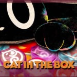 Cat in the Box – Nanu, was ist denn da im Karton?