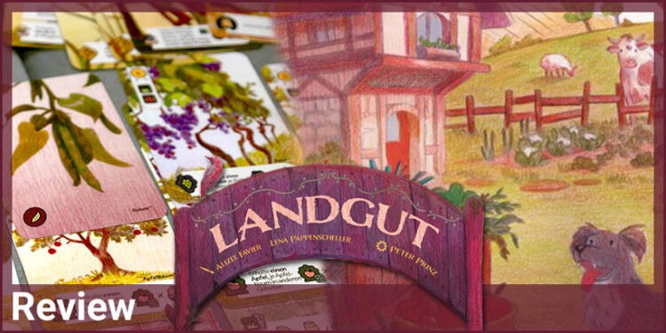 Landgut Brettspiel Review