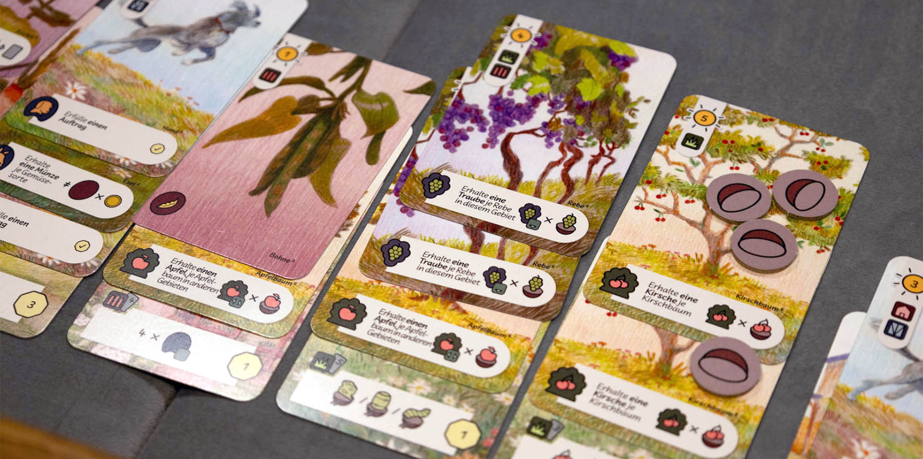 Landgut Brettspiel - Weintrauben